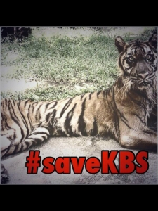 melani #saveKBS